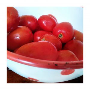 tomates rojos y maduros